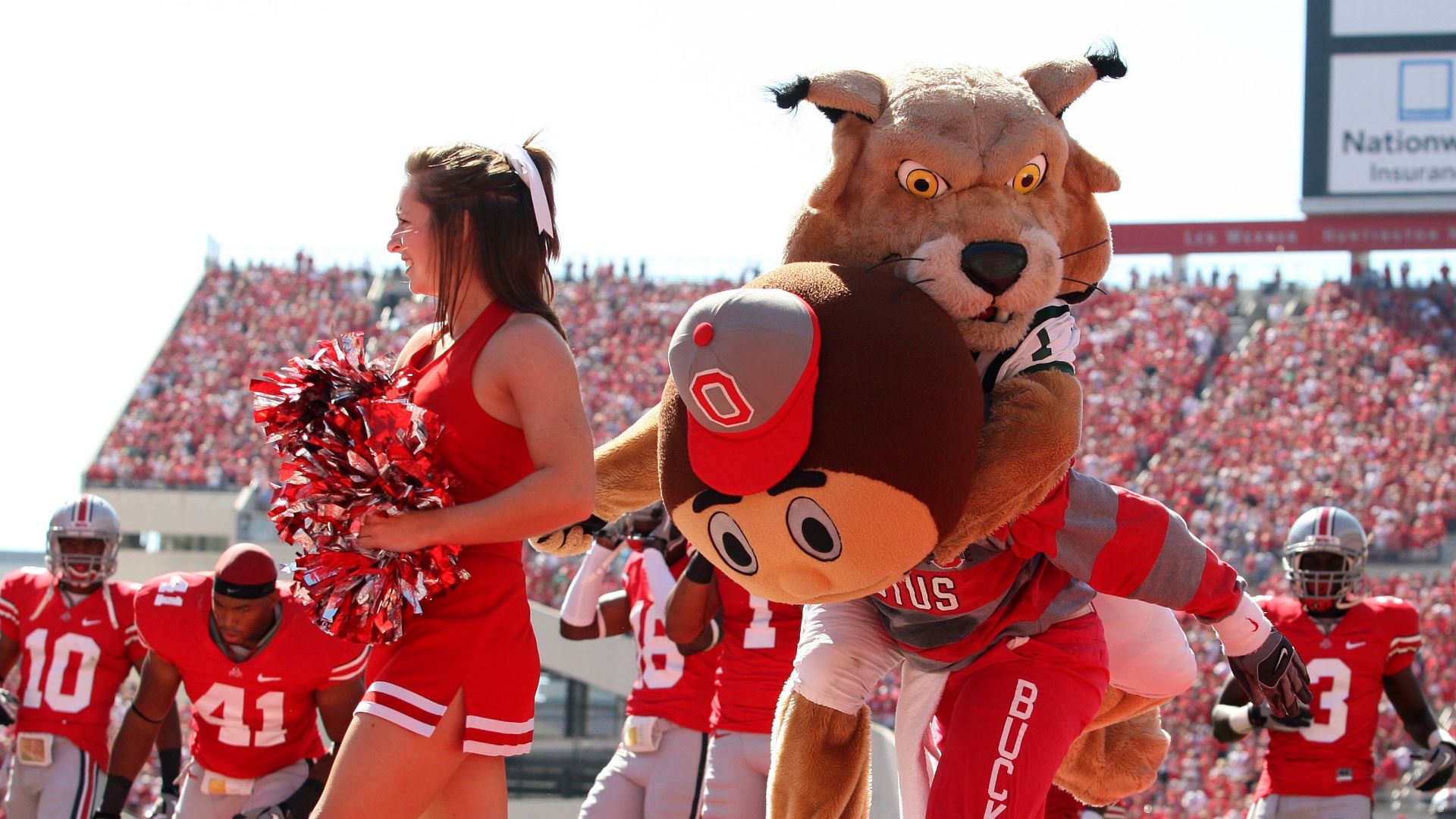 The true story behind the Ohio mascot attack on Brutus Buckeye - ESPN Video