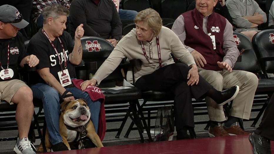 Bully the Bulldog: Mississippi State sports mascot through the years