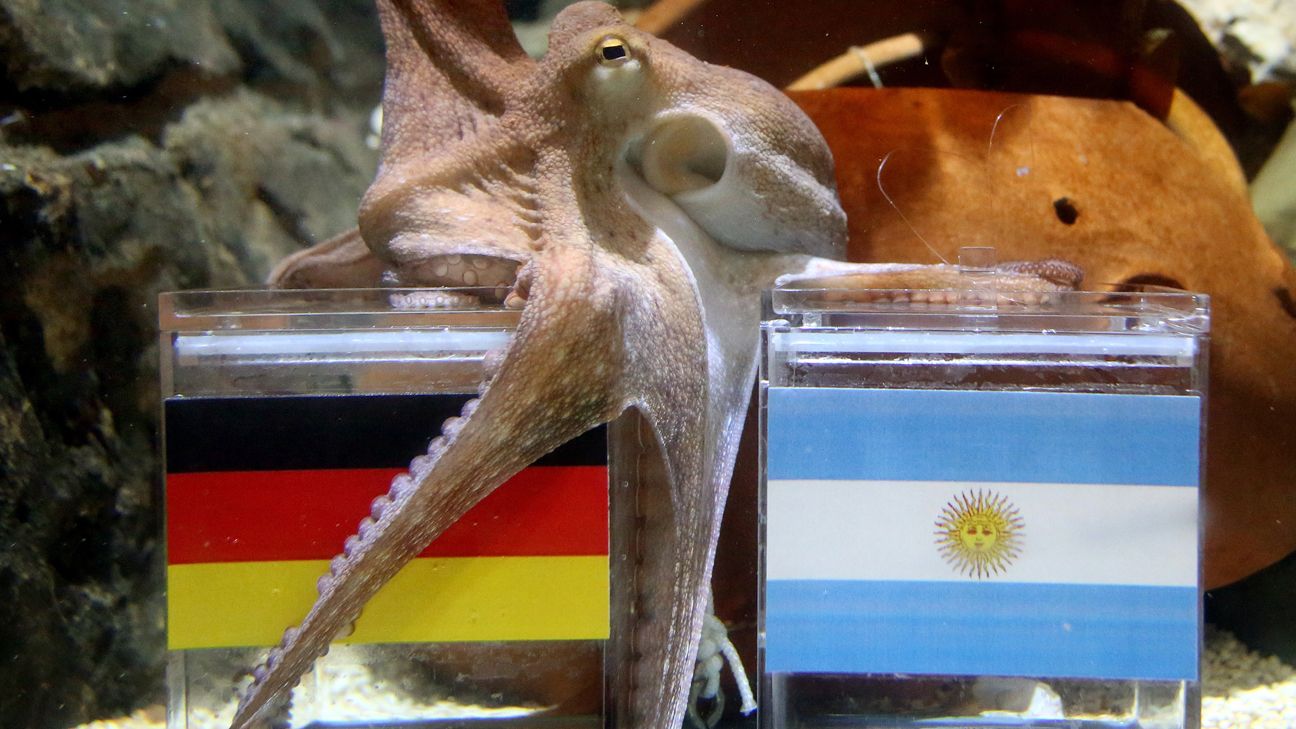 Paul the Octopus would have been eight years old today - ESPN