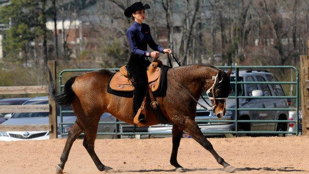 No. 4 Auburn equestrian team defeats UT-Martin in season opener