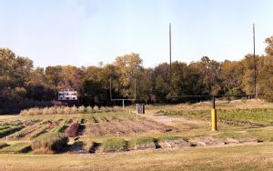 Between the goalposts