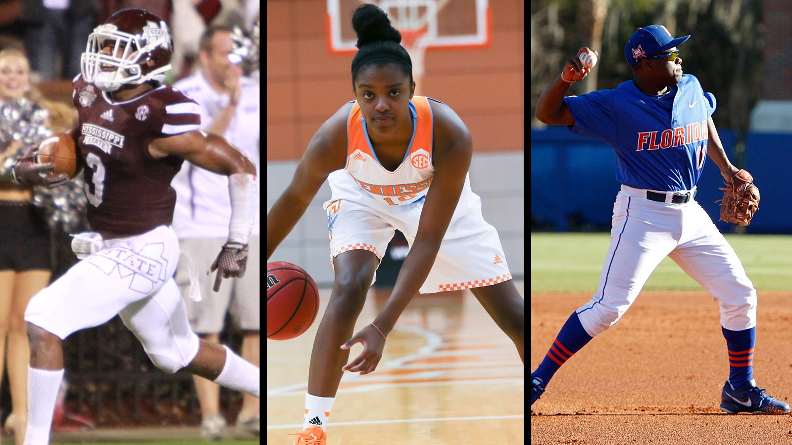 Studentathletes represent SEC in NCAA process