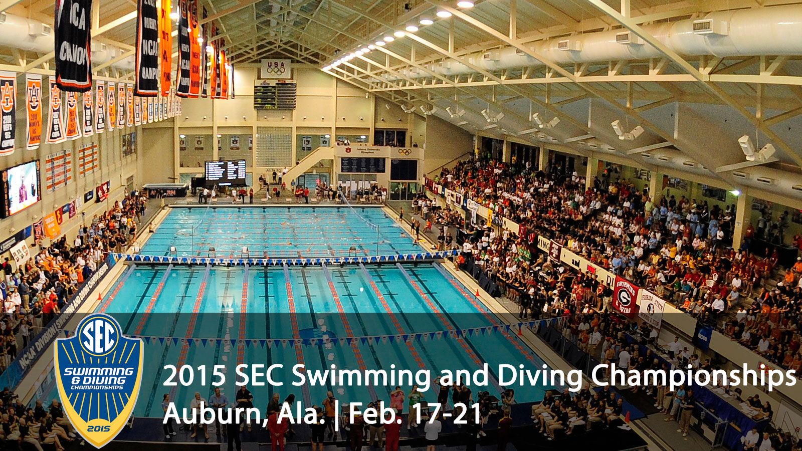 SEC Swim & Dive Championship preview