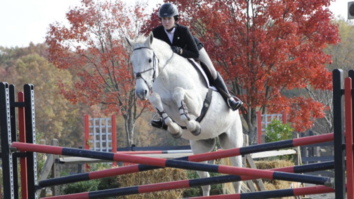 equestrian earns two wins