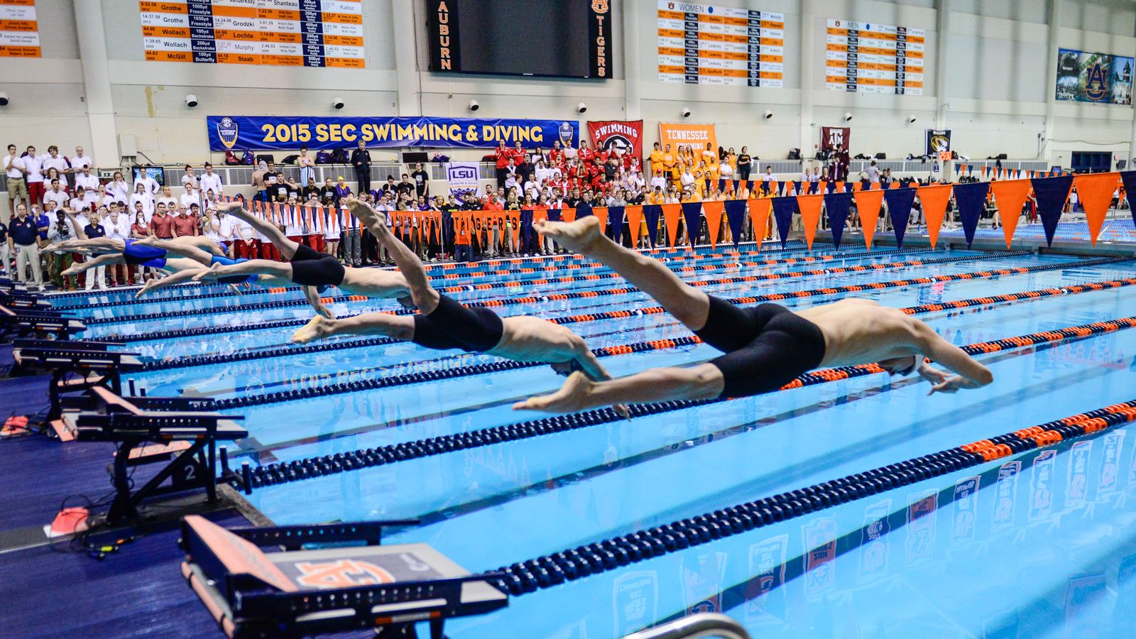 Olivia Harper - Swimming & Diving - University of Tennessee Athletics