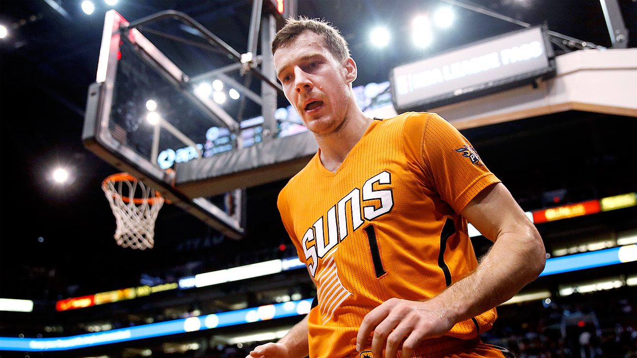 goran dragic suns