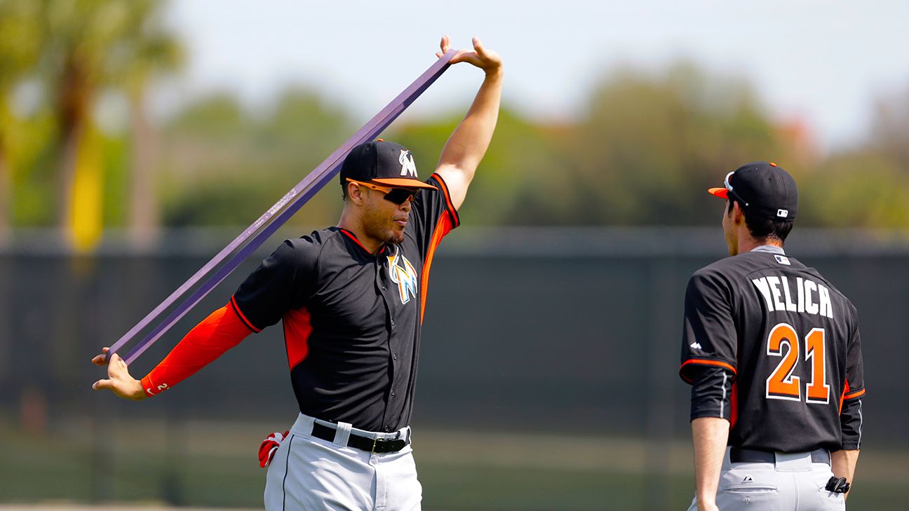 Giancarlo Stanton of Miami Marlins hit by pitch in intrasquad scrimmage