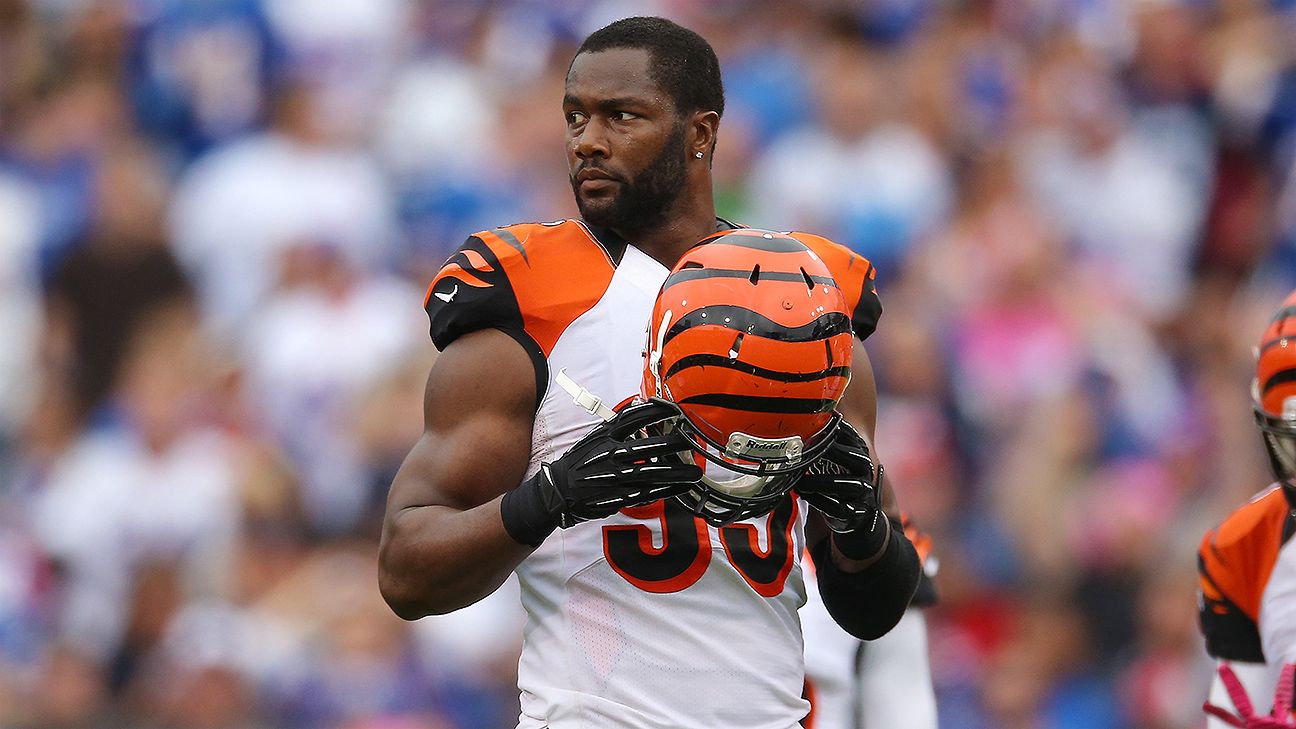 It's Buyer Beware for Bengals Defensive End Michael Johnson, News, Scores,  Highlights, Stats, and Rumors