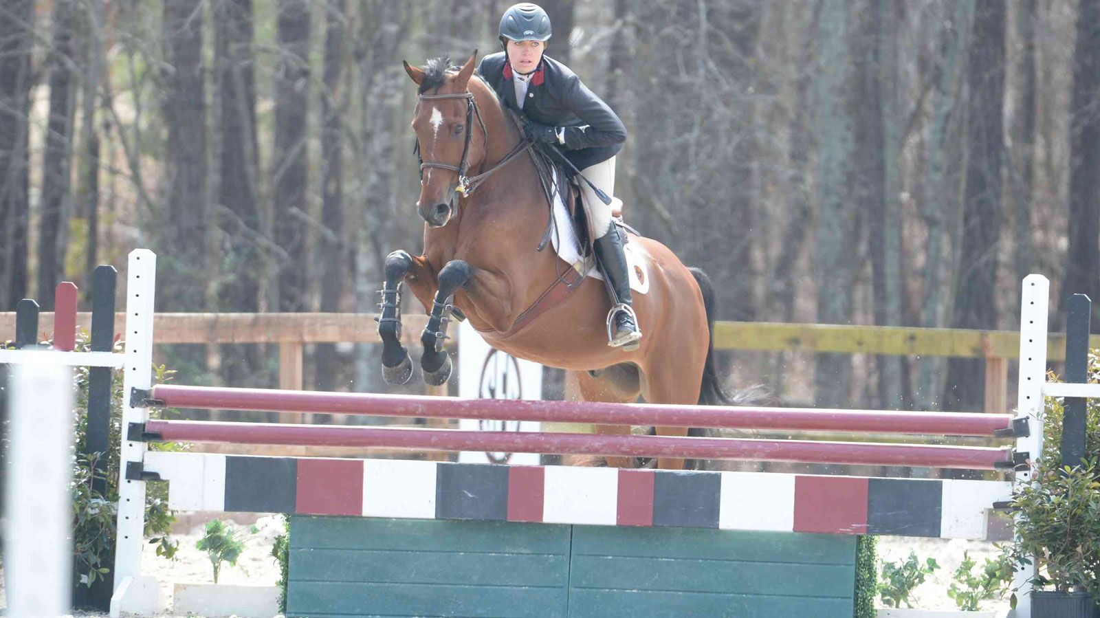 SEC equestrian teams embark on NCEA Championship