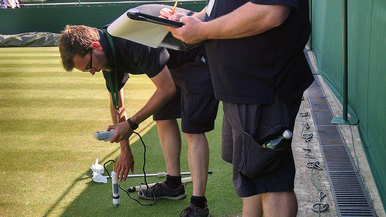 Taking the vital signs of the Wimbledon grass courts ESPN
