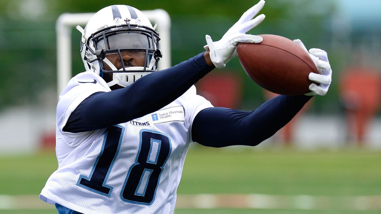 Tennessee Titans cut 18 players, including WR Hakeem Nicks &hellip;