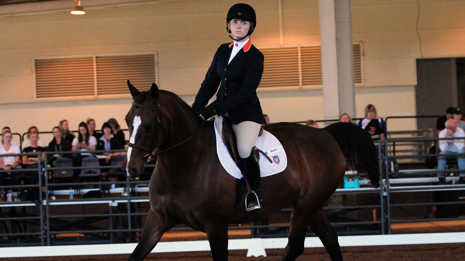 SEC Equestrian teams prepare for 2015-16 season