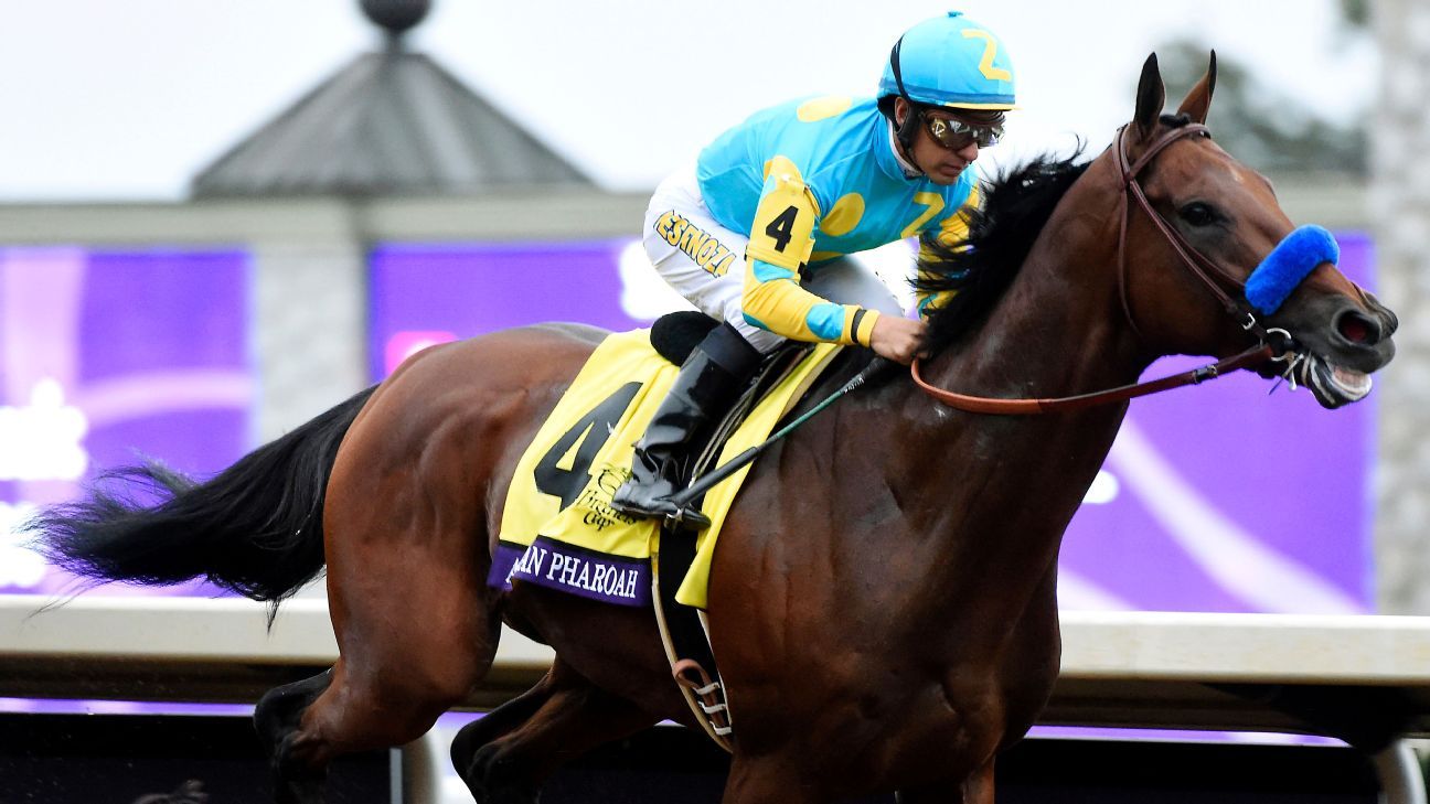 Тройная корона автоспорта. Скаковые лошади чемпионы. Конь чемпион. Награды скаковых лошадей. Фото лошадей чемпионов.