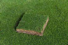NFLPA head: Players strongly want 'high quality' grass fields