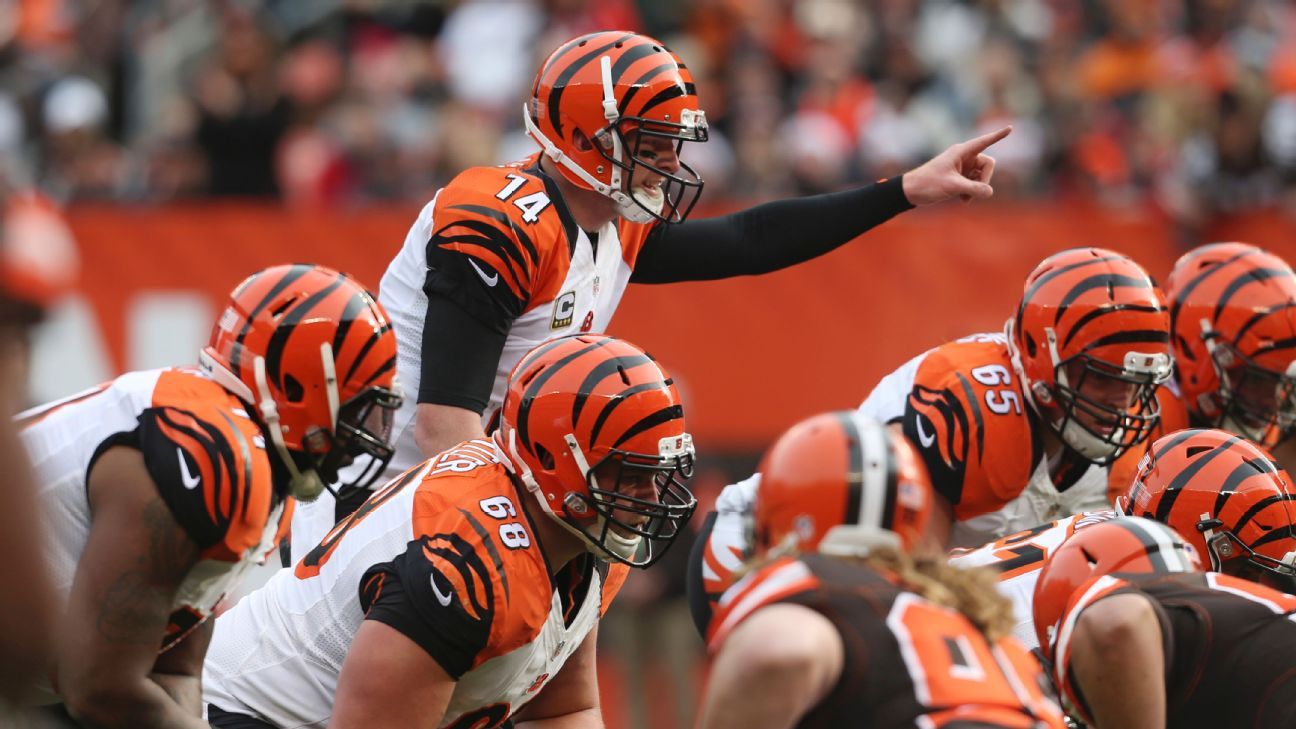 An early look at your Super Bowl LI champion Cincinnati Bengals