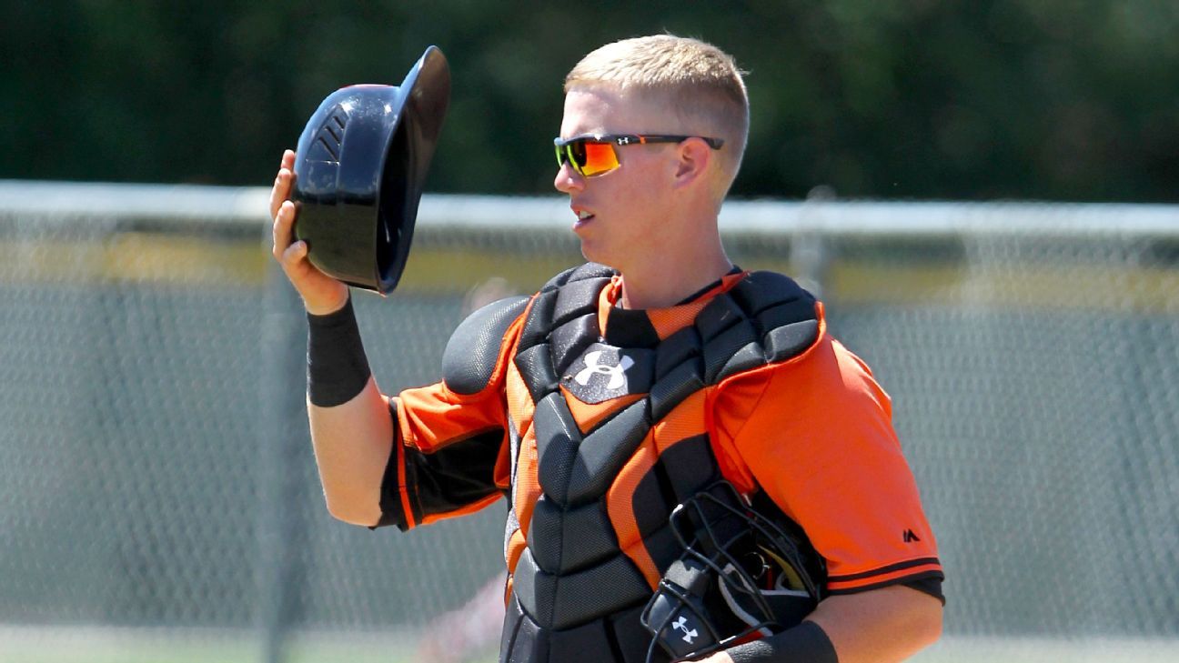 Chance Sisco, Logan Schafer among Baltimore Orioles' nonroster spring