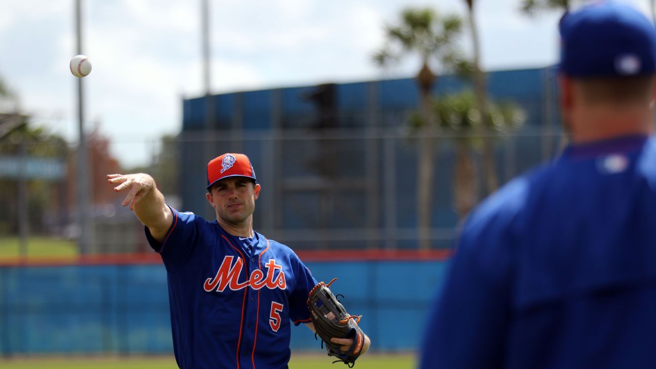 David Wright defended Terry Collins on Friday afternoon