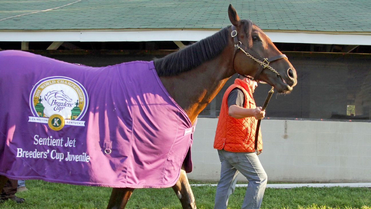 Kentucky Derby Preview Undefeated Nyquist Is The Favorite Stats Info Espn