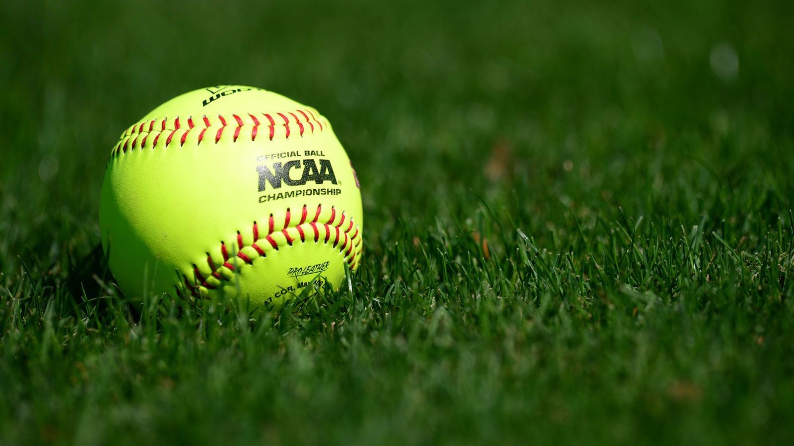 12 SEC teams to play in 2022 NCAA Softball Championship