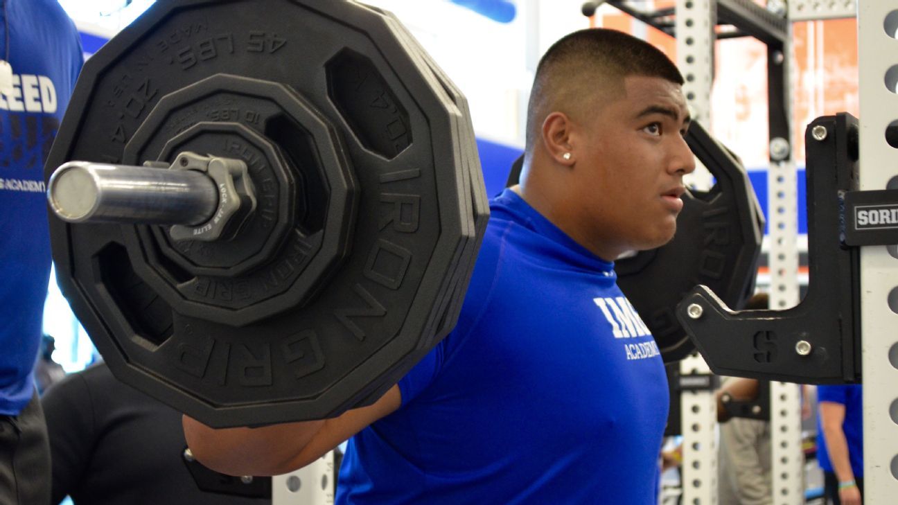 How 6-foot-8, 387-pound Daniel Faalele hopes to follow in Jordan Mailata's  giant footsteps in Australia-to-NFL pipeline - The Athletic