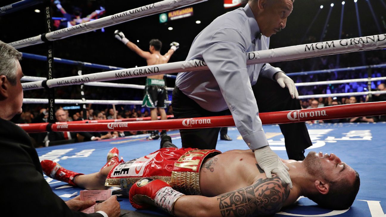 Boxing: Gervonta Davis stops Santa Cruz with KO of the Year