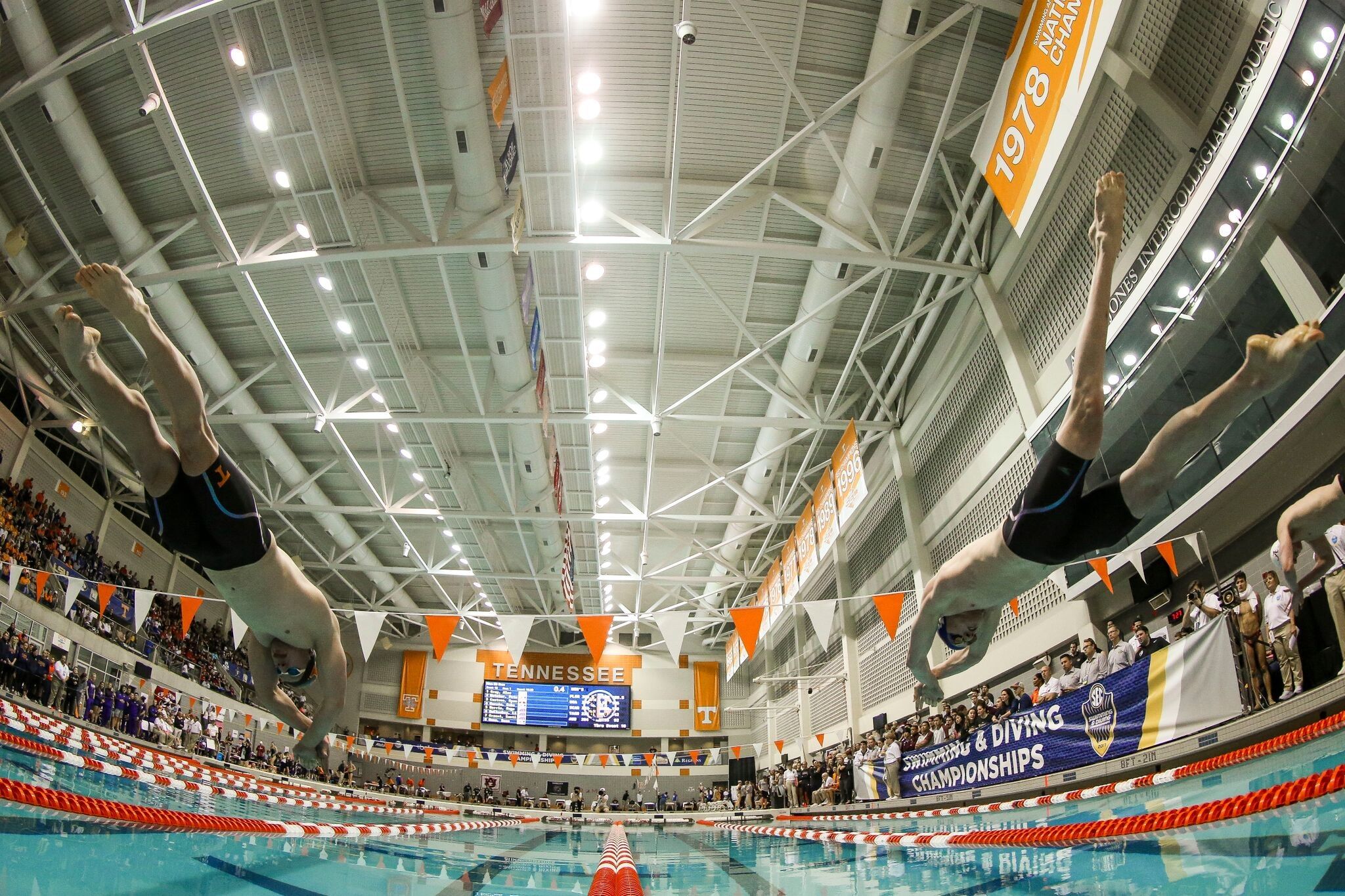 Day 3 of SEC Swim & Dive Championships