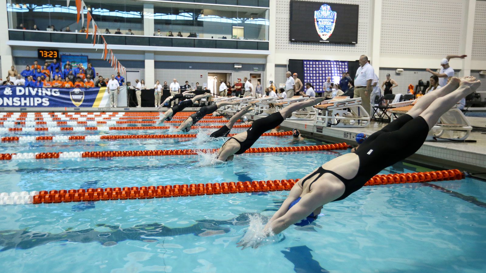 SEC Swim & Dive Championships Day 4