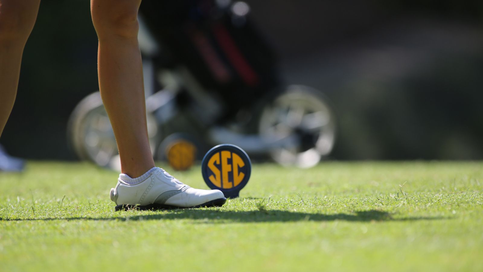 A season to celebrate in SEC women's golf