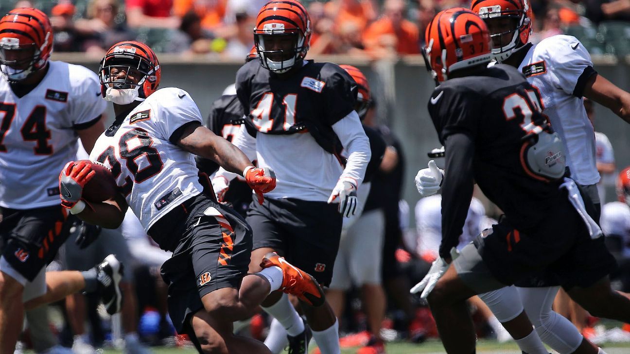 Bengals RB Jeremy Hill can relate to Joe Mixon's rookie frustrations - ESPN  - Cincinnati Bengals Blog- ESPN