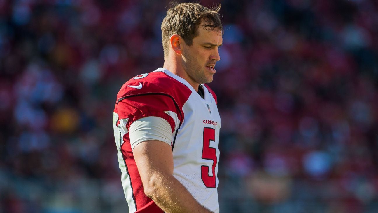 QB Drew Stanton: Cardinals' resident jokester, quipster - ESPN - NFL Nation- ESPN