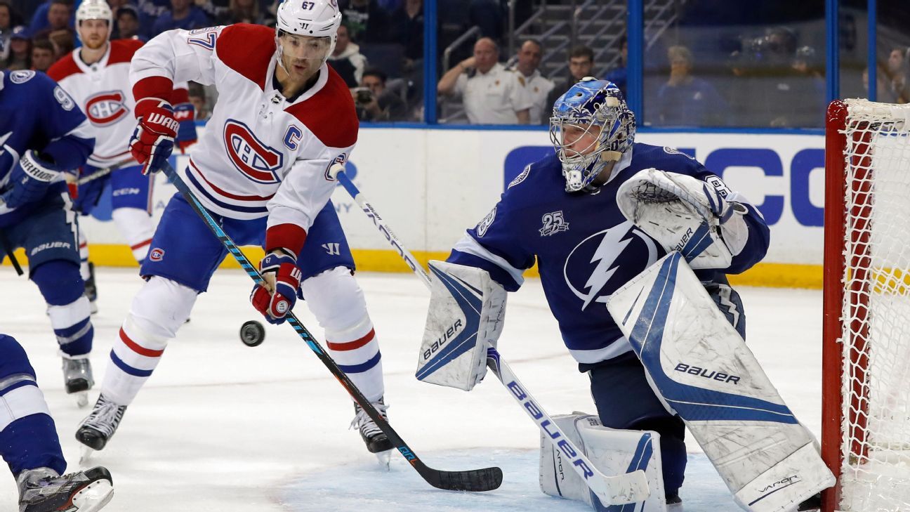 Fantasy NHL Assessing goalies for all 31 teams ESPN