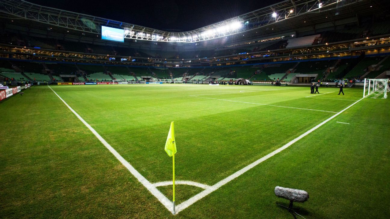 Featured image of post Fundo Gramado Futebol Av s e a todos aqueles q nos apoiaram em todo campeonato queria do fundo do meu cora o agradecer a esses meninos atleta que se doaram