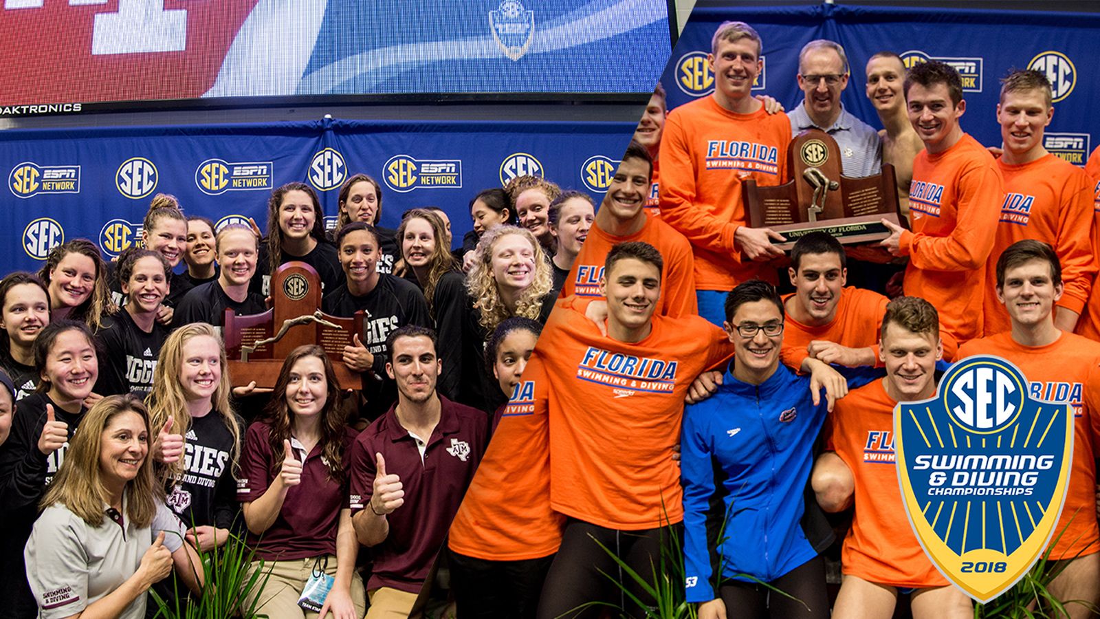 2018 SEC Swimming and Diving Championships