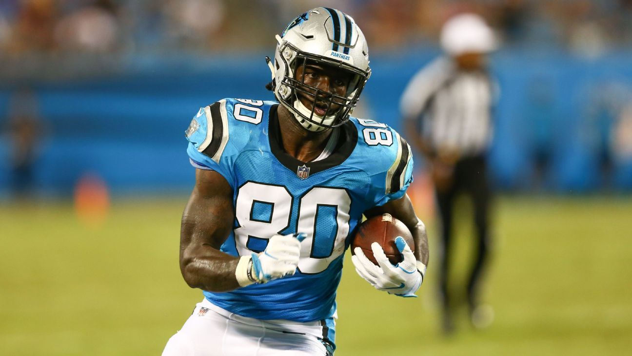 Carolina Panthers turn to rookie TE to replace injured Greg Olsen 