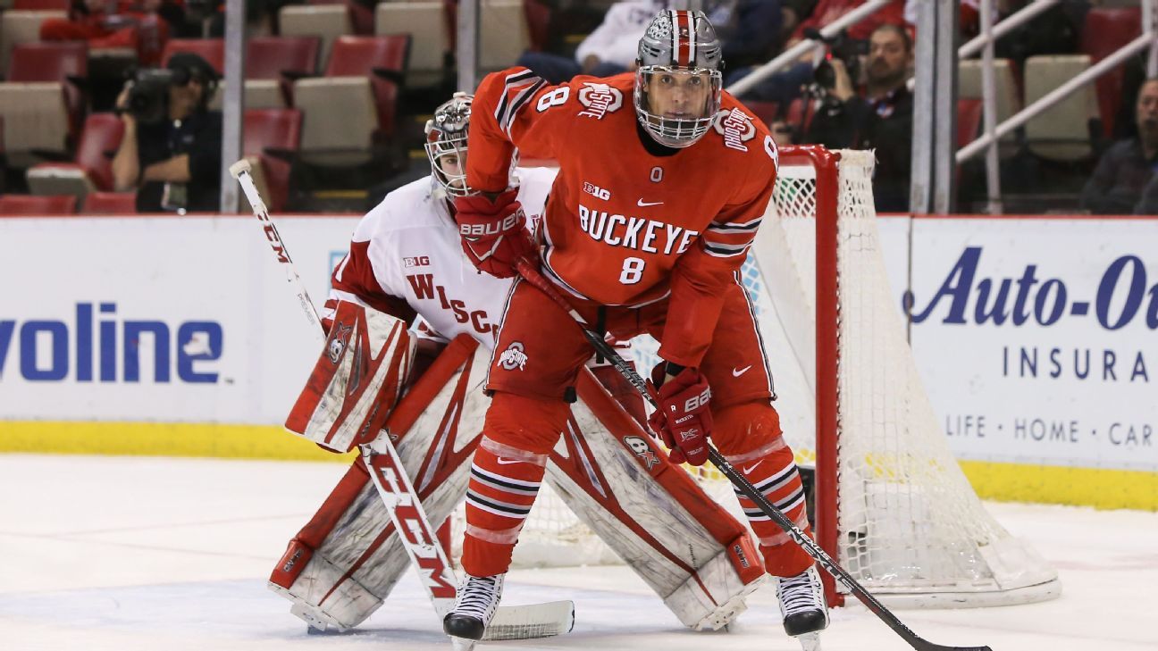 Michigan hockey made history at the NHL Draft, but the players returned for  'unfinished business'