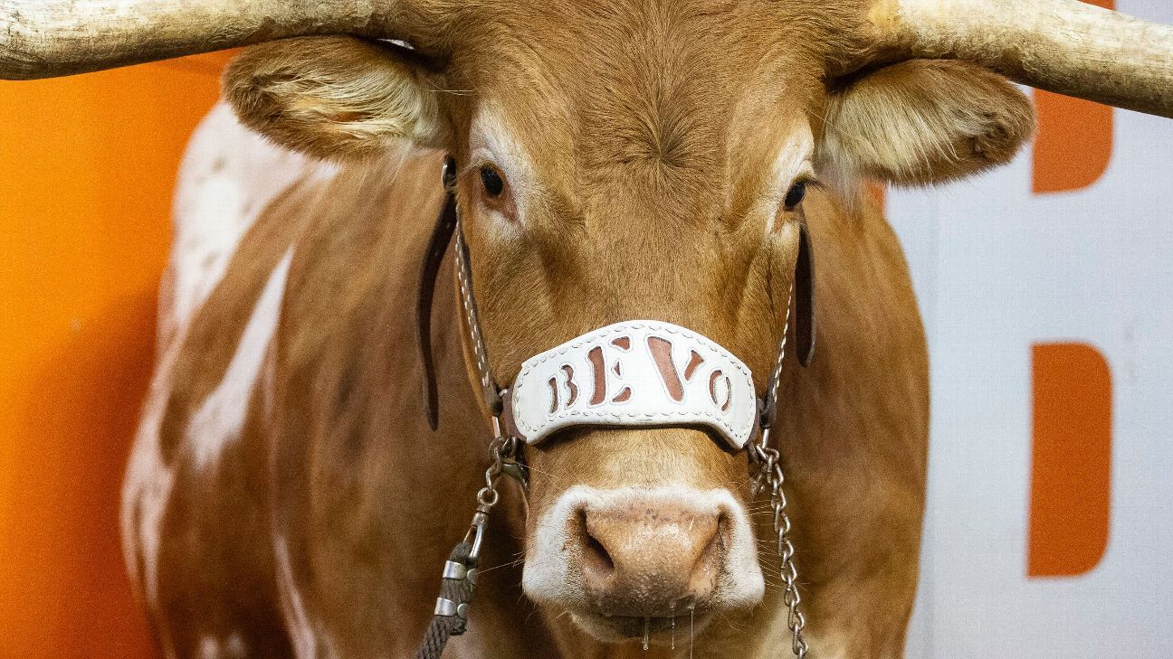 Texas mascot Bevo XV charges after Georgia&#039;s Uga X before Sugar Bowl