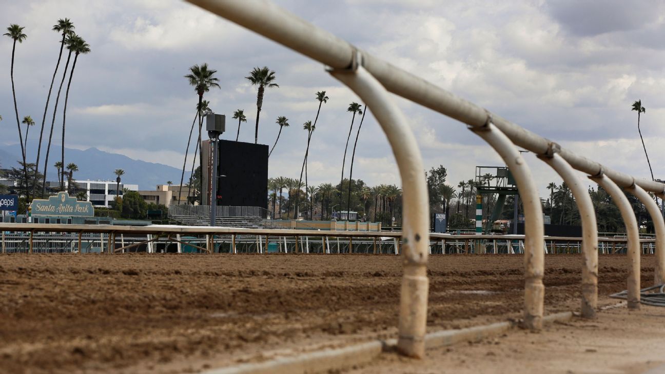 Second Breeders' Cup horse dies at Santa Anita