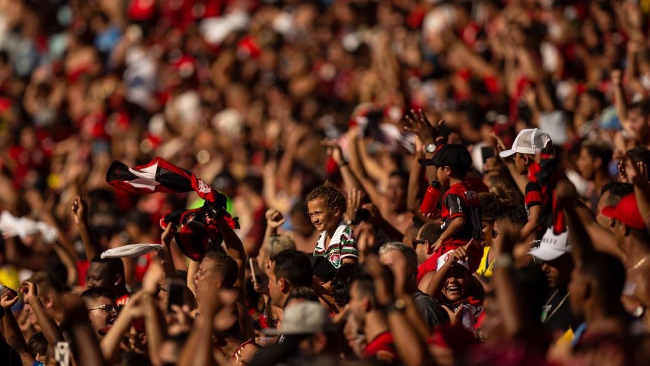 Brave Brazilian girl dares to wear away jersey in home