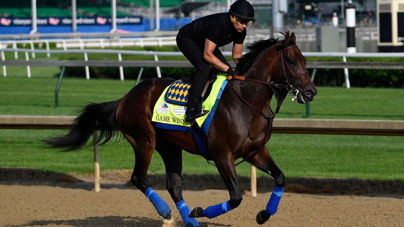 Kentucky derby bets odds