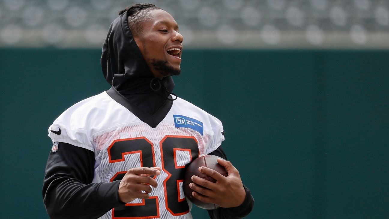 Joe Mixon ready for more in Bengals' new offense - ESPN - Cincinnati Bengals  Blog- ESPN