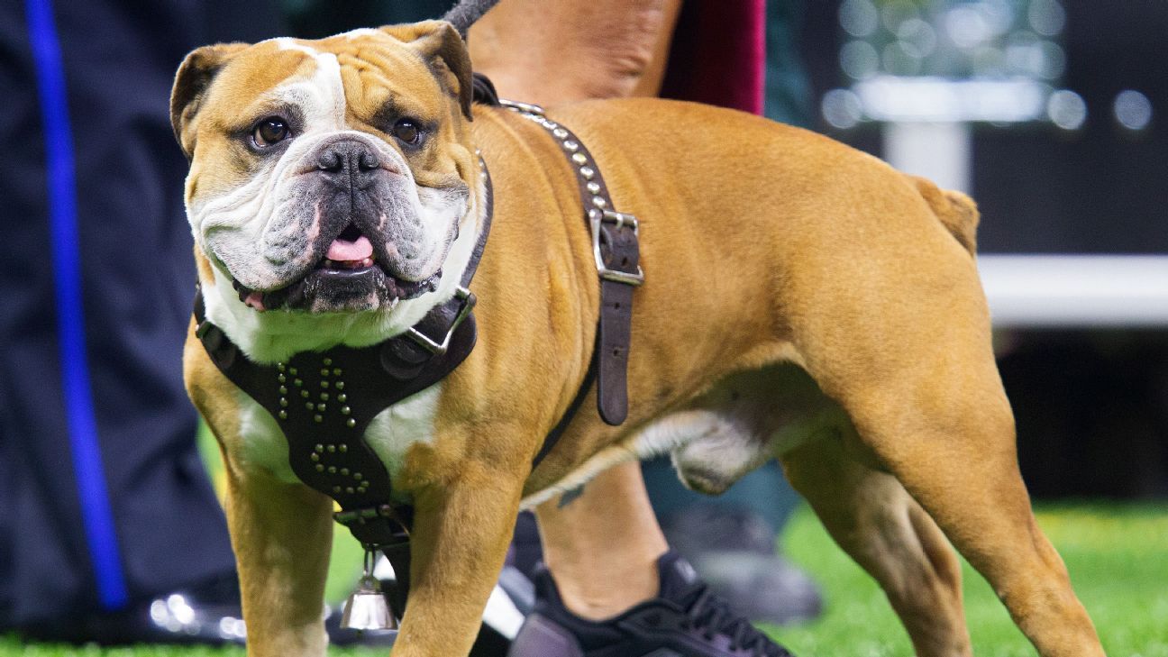 Bully the Bulldog: Mississippi State sports mascot through the years