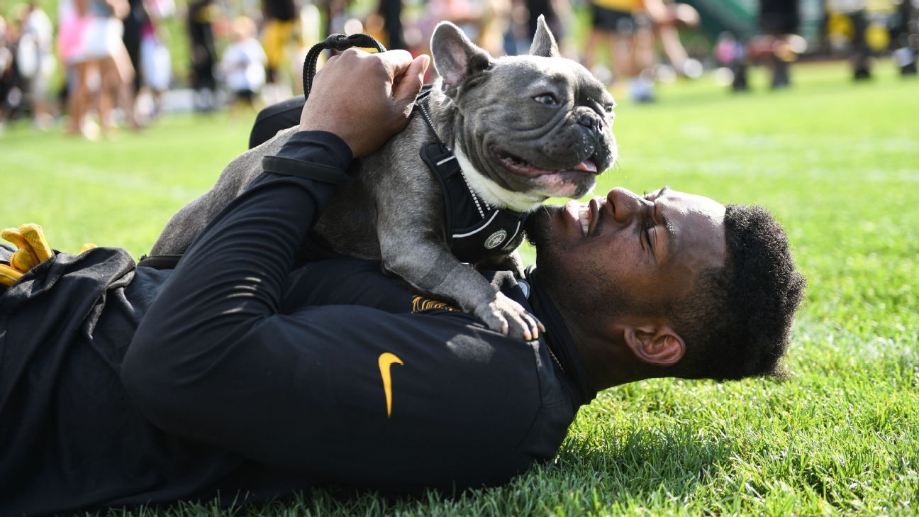 From fear of dogs to epic dog dad, Boujee has changed Pittsburgh Steelers  receiver JuJu Smith-Schuster - ESPN