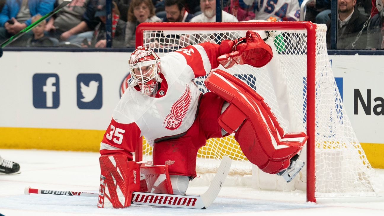 Detroit Red Wings goalie Jimmy Howard (35) during the NHL game