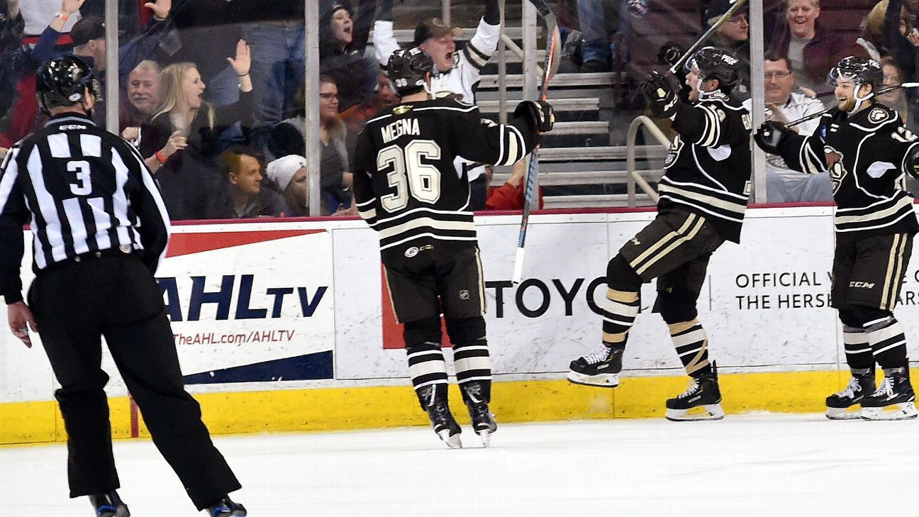 Inside AHL Hockey