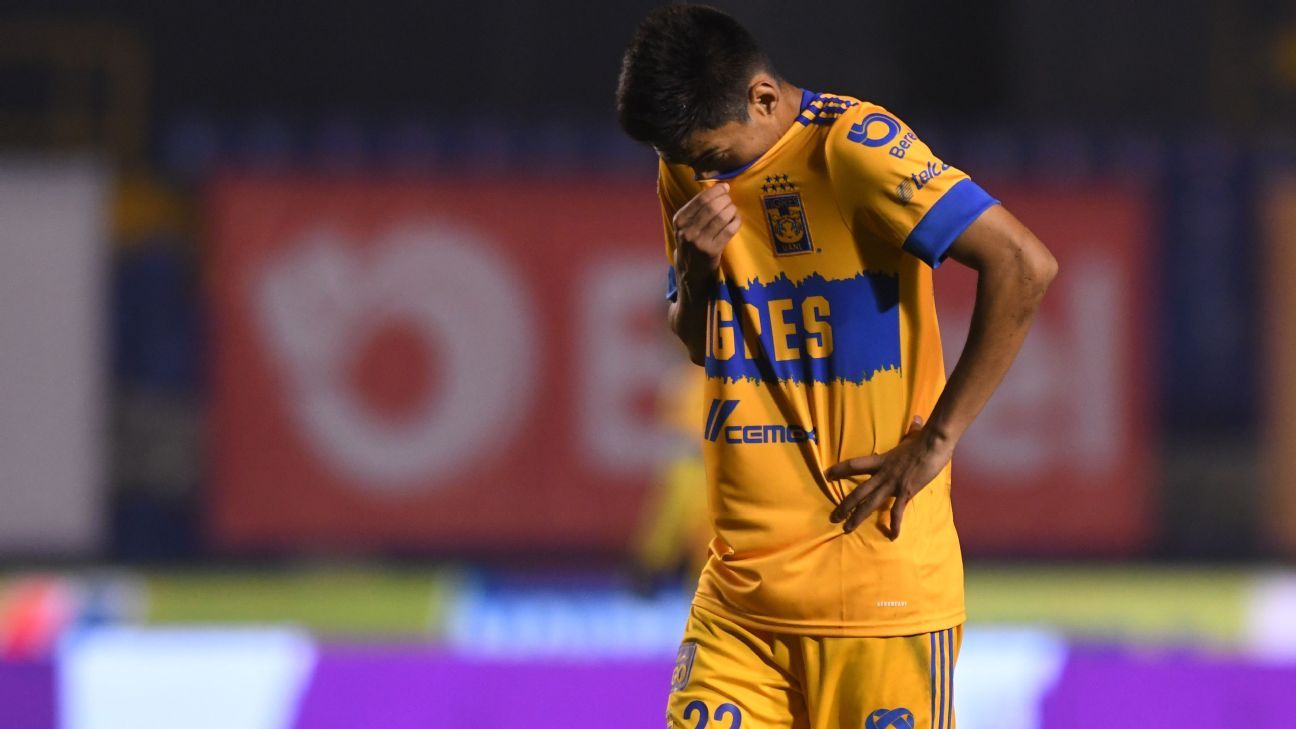 Tigres y Palmeiras, del descenso a la Semifinal del ...