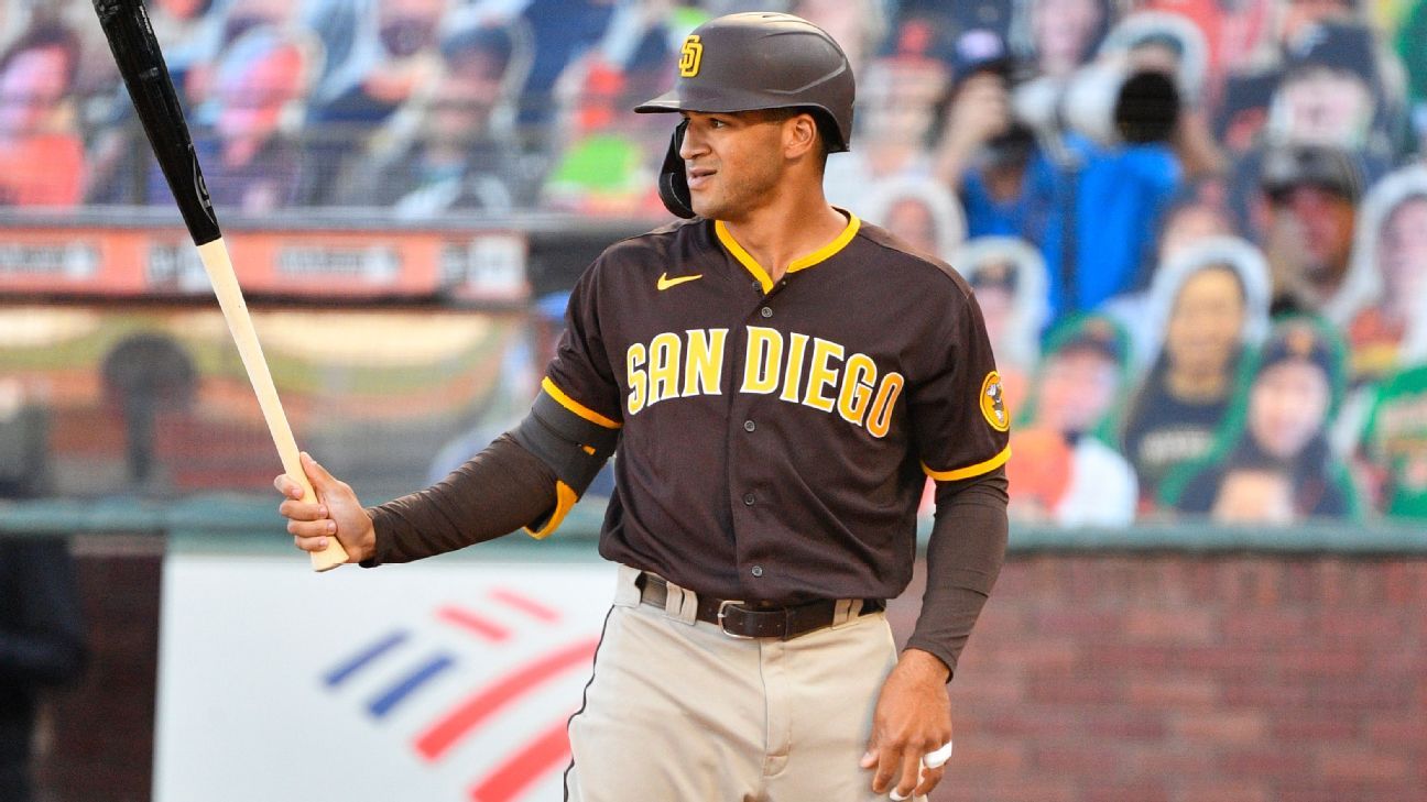 MLB Rookie Profile: Franmil Reyes, OF, San Diego Padres - Minor League Ball