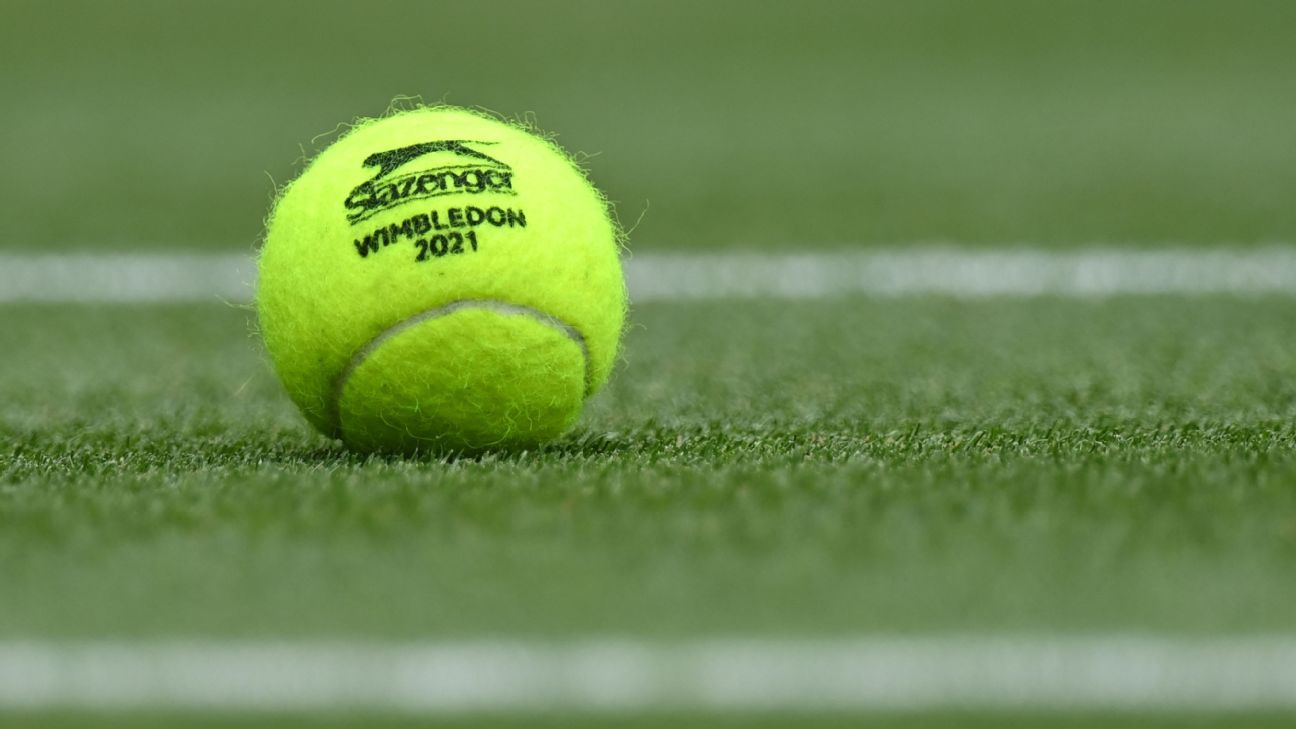 Com exibição de todas as quadras, Wimbledon 2023 é destaque da ESPN 2 e do  Star+ - ESPN MediaZone Brasil