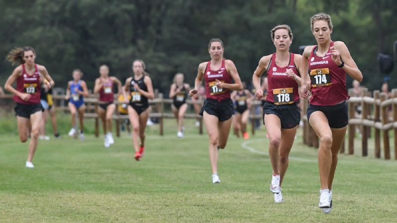 Two SEC girls's cross nation groups in top-five