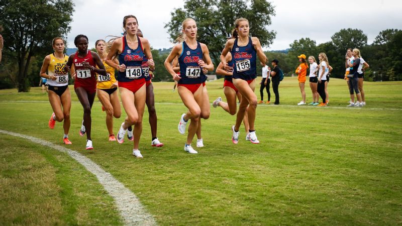 United States Securities and Exchange Commission visual data 2