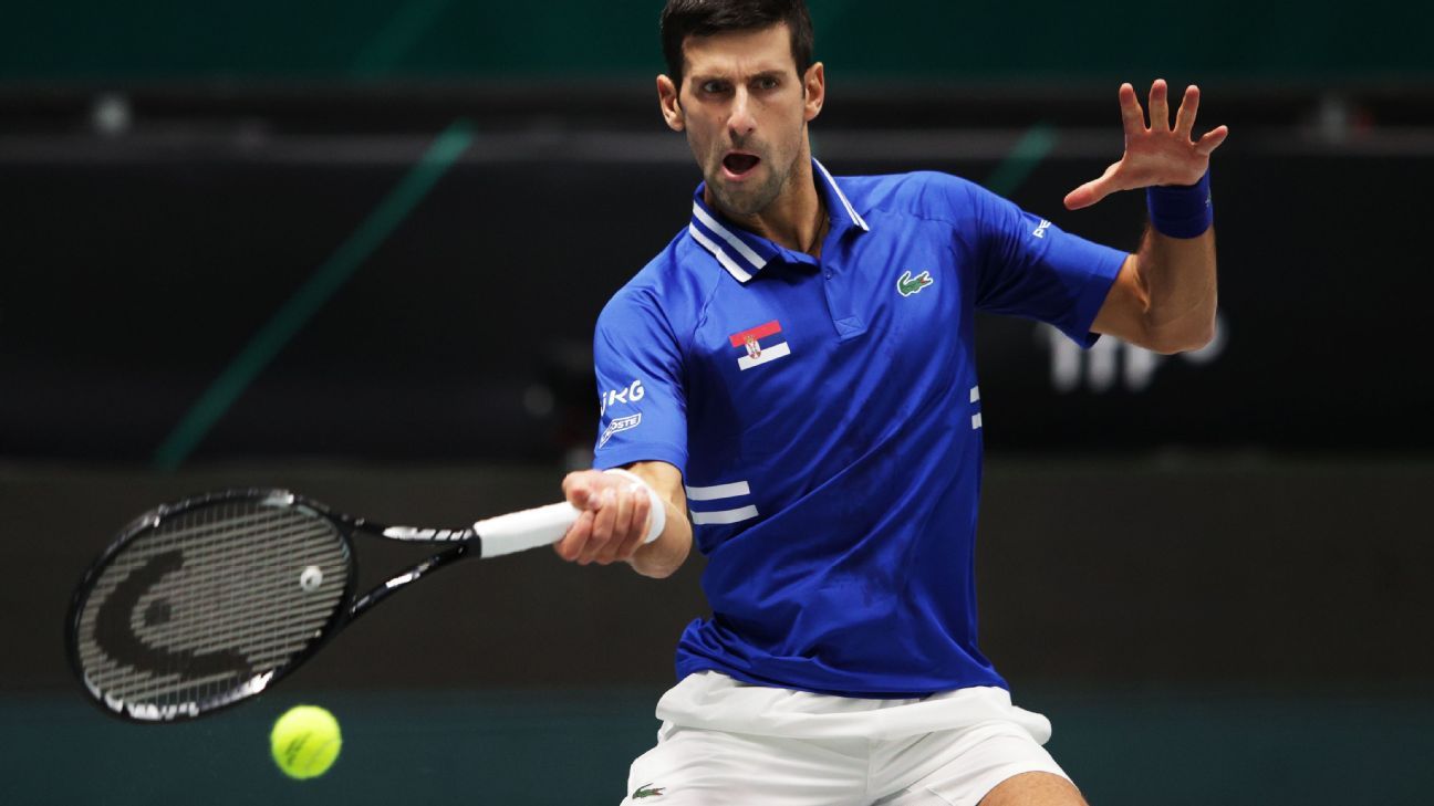 Novak Djokovic's parents join protest in Serbia as Australian visa hearing looms